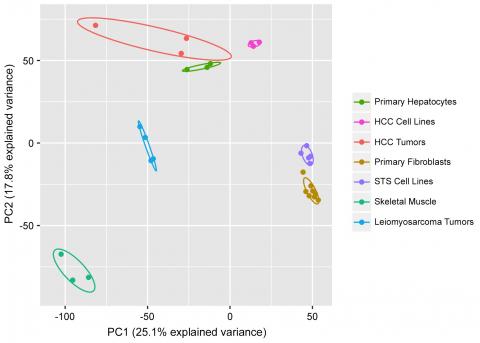 PCA plot